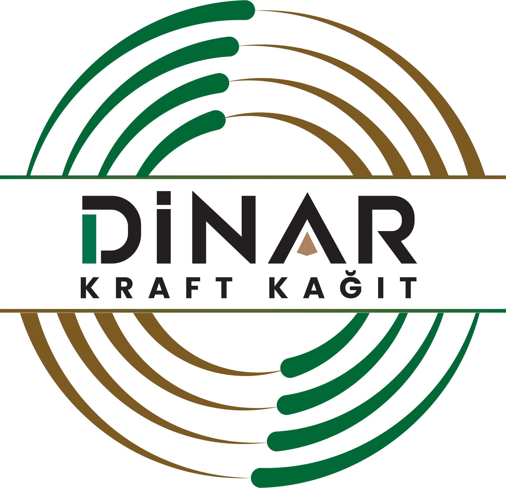 Dinar Kraft Kağıt Logo